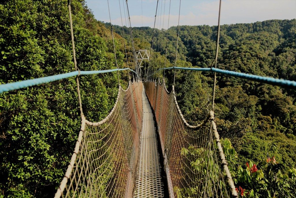 Nyungwe Forest National Park