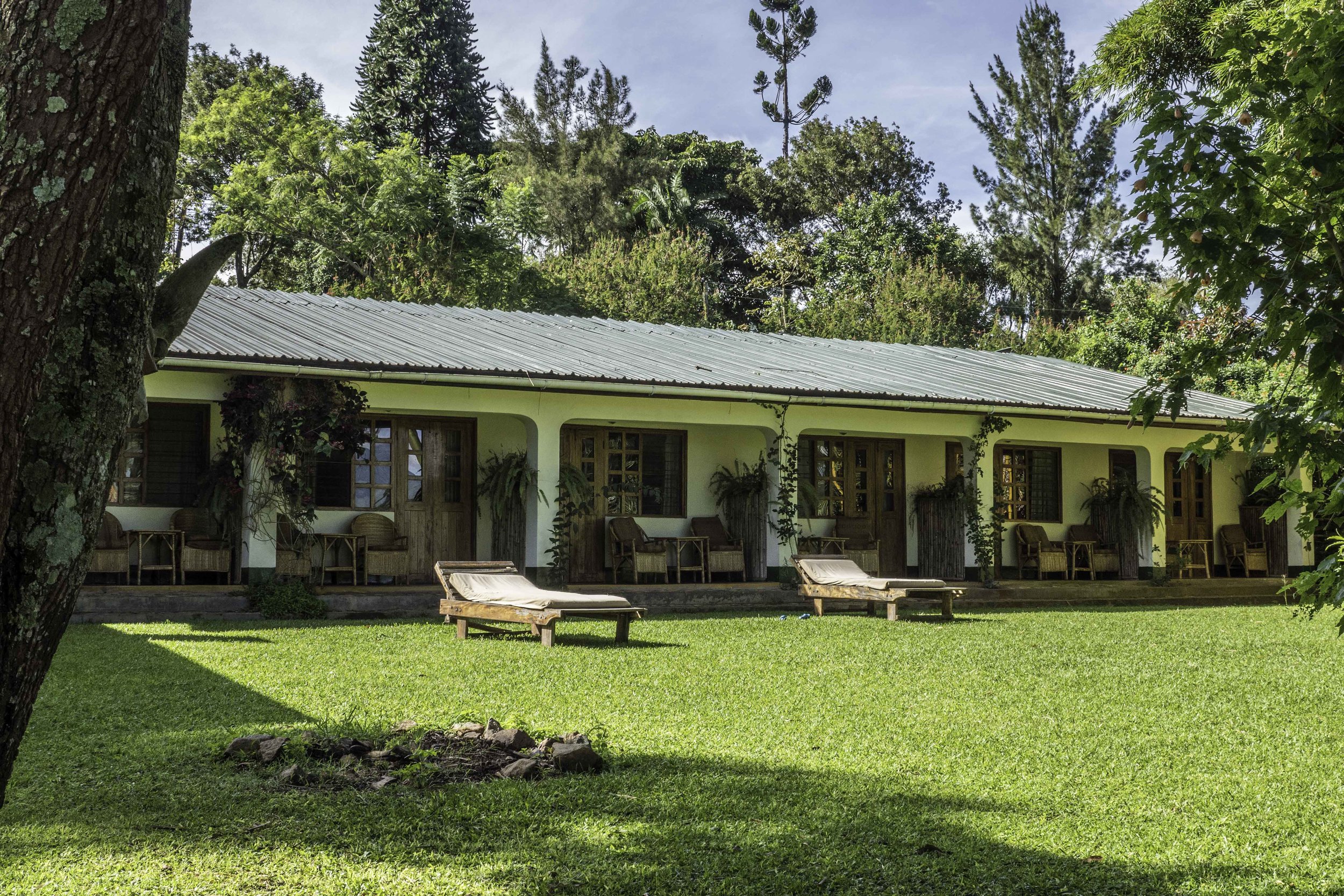 Rwenzori View Lodge