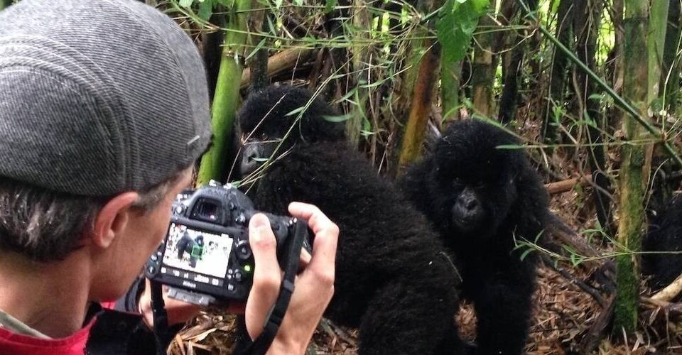 uganda-gorilla-safaris-starting-from-kigali