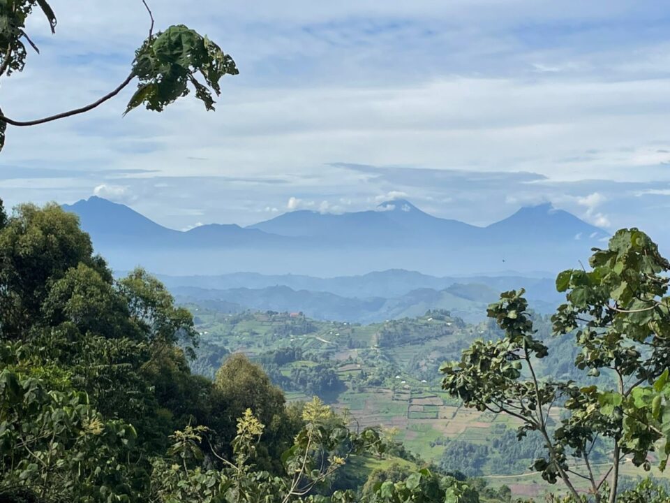Virunga Mountains/ The Mufumbiro Ranges