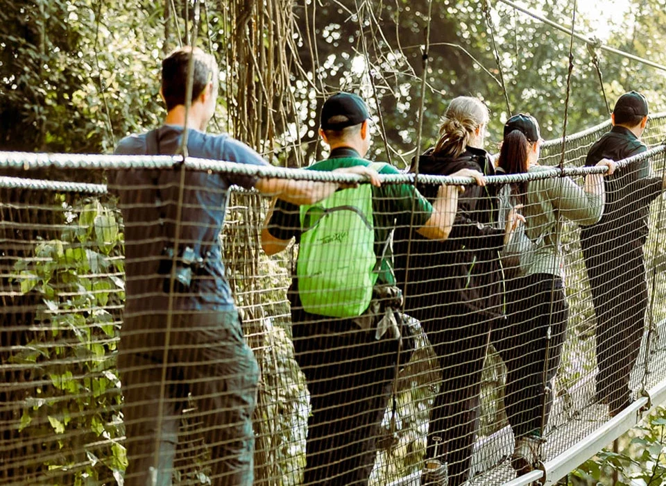 The Canopy Walkway Adventure in Nyungwe National Park