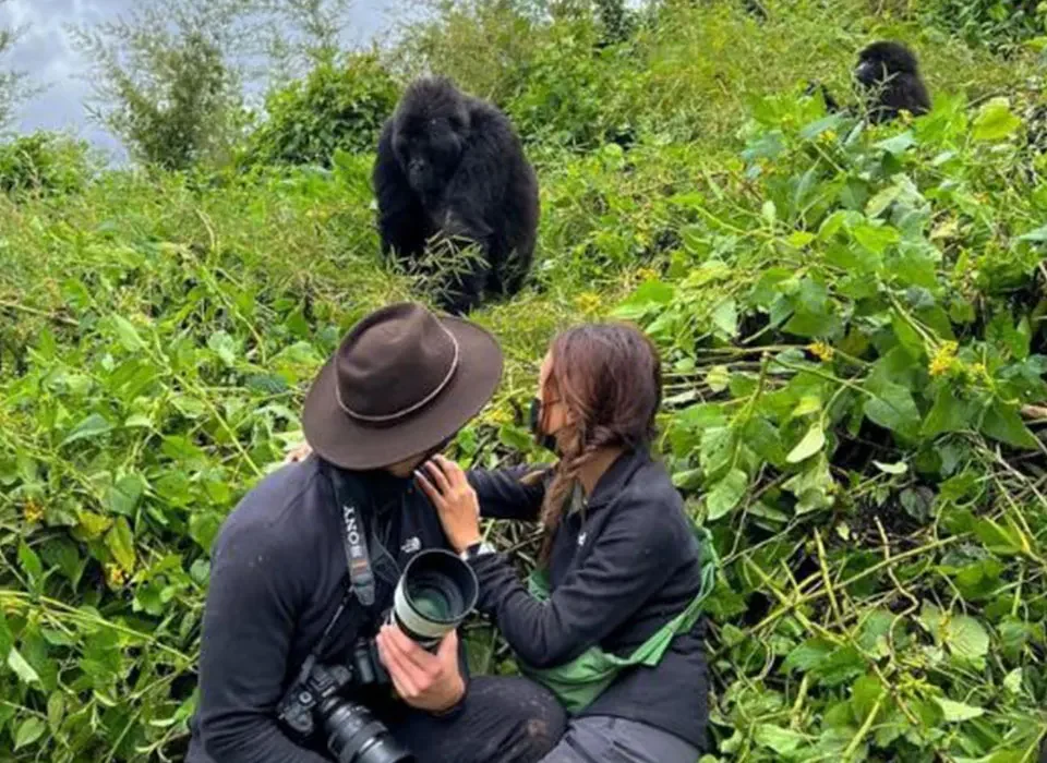 What Is the Best Gorilla Family to See in Rwanda?