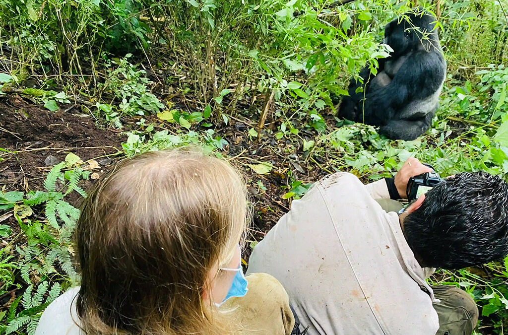 How the Gorilla Trekking Process Is Done