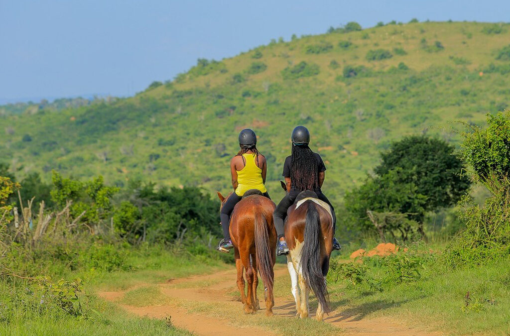 Horseback Riding in Jinja, Uganda