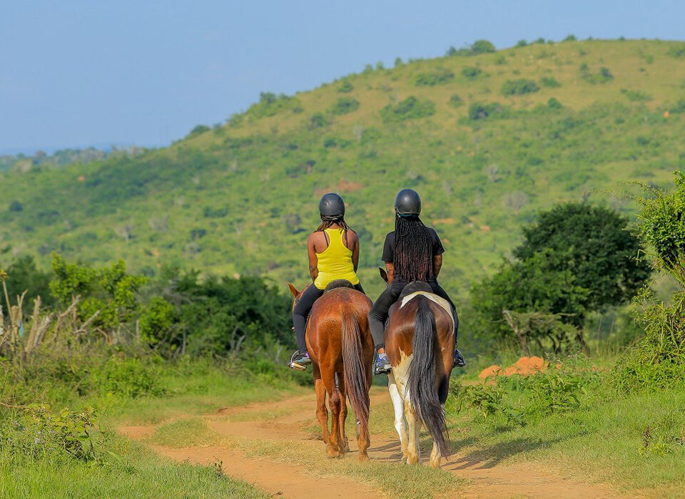 Horseback Riding in Jinja, Uganda