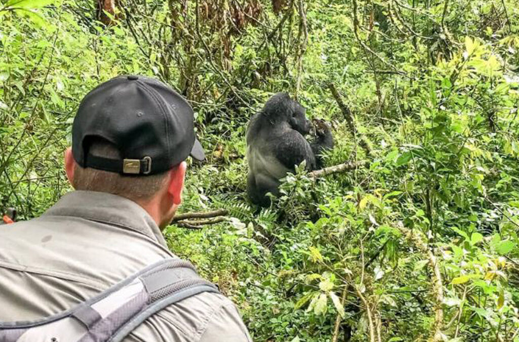 Why Rushaga Is the Best Place for Gorilla Trekking in Bwindi