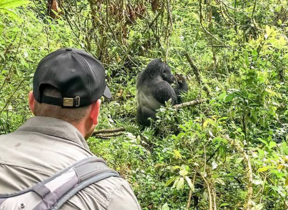 Why Rushaga Is the Best Place for Gorilla Trekking in Bwindi