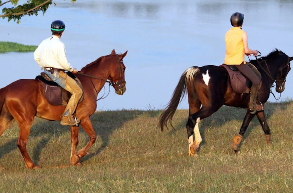 Horseback Riding in Uganda