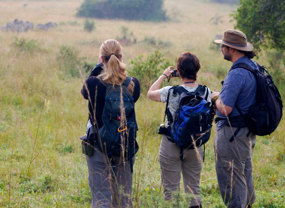 Are Walking Safaris Safe in Lake Mburo National Park?